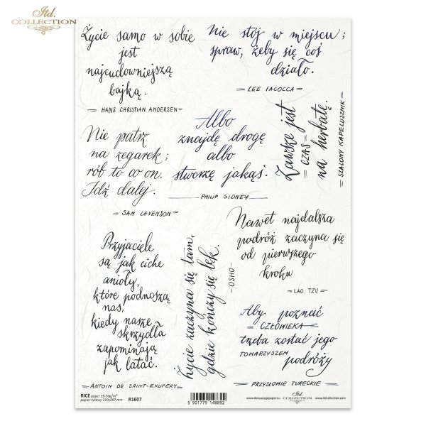 napisy, sentencje, mądre myśli wielkich ludzi, cytaty, piękne litery, kaligrafia Dorota Marciniak, subtitles, sentences, quotes, beautiful letters, calligraphy, Untertitel, Sätze, Zitate, schöne Buchstaben, Kalligraphie,  subtítulos, oraciones, citas, bel