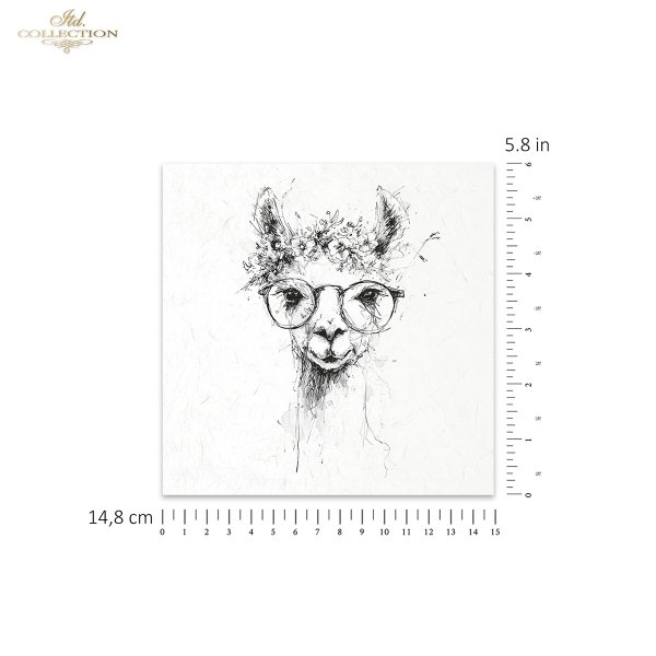 Rice paper set RSM254