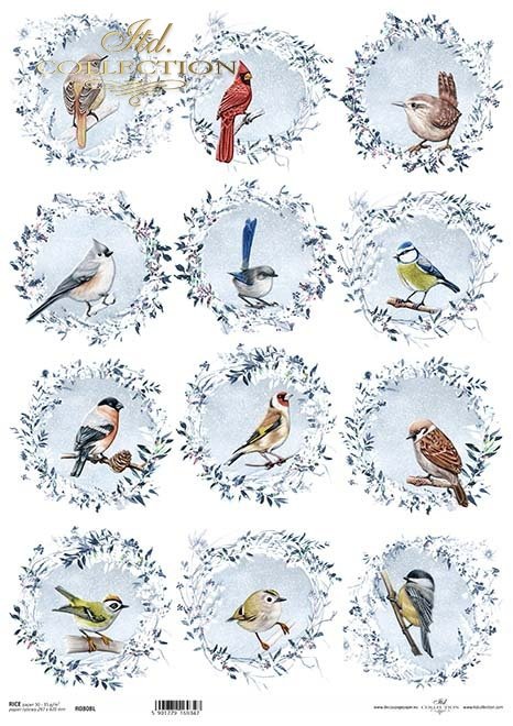 mrozem malowane, wieńce z ptakami, mysikrólik, zniczek, kardynał, sikorka, pleszka, szczygieł, gil, wróbel*decorated with frost, wreaths with birds, goldcrest, firecrest, redbird, titmouse, redstart, goldfinch, bullfinch, sparrow