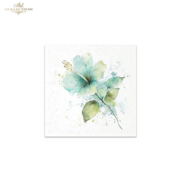 Rice paper set RSM279