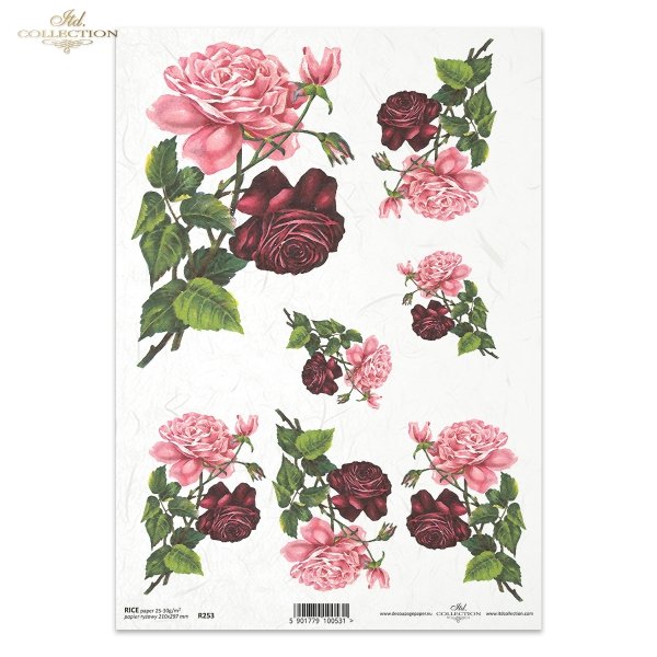 flowers, roses. magenta roses, pink roses 