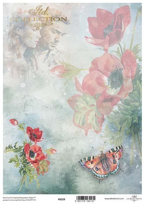 akwarelowe tła, kwiaty, motyle, owady, zakochane pary, maki*Watercolor backgrounds, flowers, butterflies, insects, couples in love, poppies*Aquarell-Hintergründe, Blumen, Schmetterlinge, Insekten, verliebte Paare, Mohnblumen*Fondos de acuarela, flores, ma