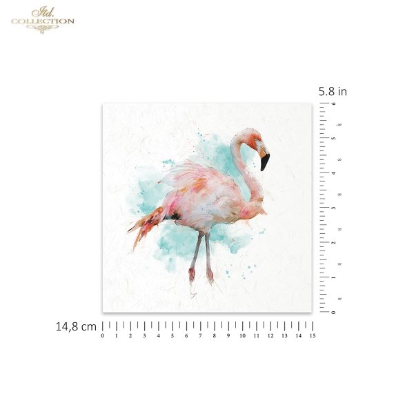 Rice paper set RSM269
