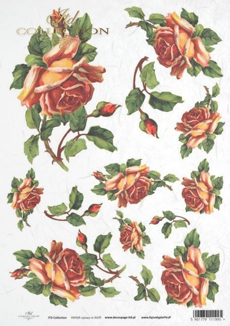 rose, roses, flower, flowers, bouquet, bouquets, R426