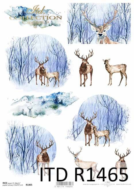 Boże Narodzenie, zimowe widoczki, zwierzęta*Christmas, winter views, animals