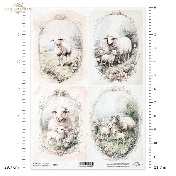 Rice paper R2561
