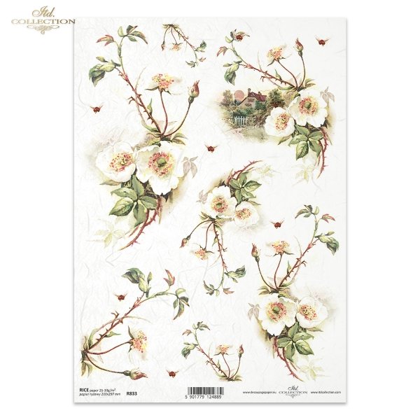 dzika róża, róże, wieś, ogród, kwiat, wiosna, R833, wild rose, roses, village, garden, flower, spring, Wildrose, Rosen, Dorf, Garten, Blume, Frühling, rosa silvestre, rosas, pueblo, jardín, flor, primavera