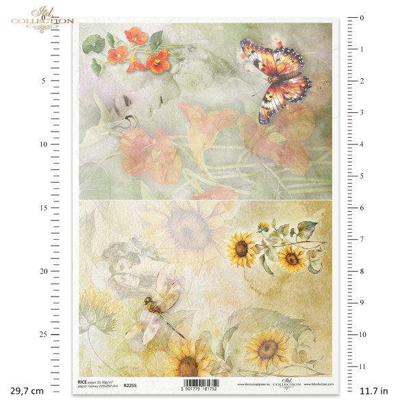 akwarelowe tła, kwiaty, lato, słonecznik, słoneczniki, ważka, ważki, motyl, motyle, nasturcja, nasturcje, miłość, zakochane pary, Summer Love Story, watercolour backgrounds, flowers, summer, sunflower, sunflowers, dragonfly