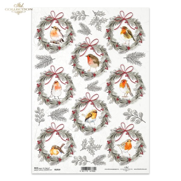 ptak, ptaki, ptaszki, zimowe, wieniec, wieńce, rudzik, rudziki, zima, bird, birds, birding, winter, wreath, wreaths, redstarts, winter, Vogel, Vögel, Vogelkunde, Winter, Kranz, Kränze, Gartenrotschwanz, Winter,  pájaro, pájaros, observación de aves