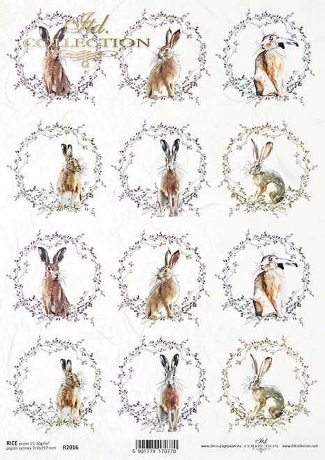 zające, wieńce*hares, wreaths*Hasen, Kränze*liebres, coronas