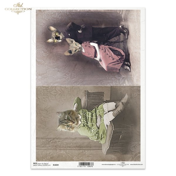 zwierzęta retro, zwierzęta w dawnych strojach, zoomorfizm, vintage, kot, kotek, kicia, koty, sfinks, animals, animals in old clothes, zoomorphism, cat, kitten, kittens, cats, sphinx, Retro-Tiere, Tiere in alter Kleidung, Zoomorphismus, Katze