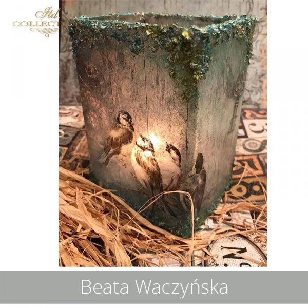 20190430-Beata Waczyńska-R1319-A4-R0175L-example 01