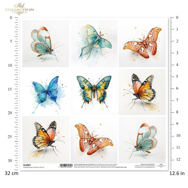 Motyl, motyle, owady, akwarela