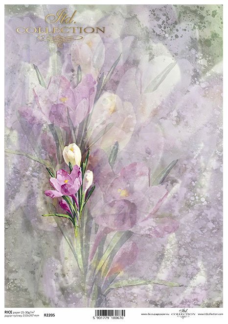 tło akwarelowe, wiosenne kwiaty*watercolour background, spring flowers*Aquarell-Hintergrund, Frühlingsblumen*fondo de acuarela, flores de primavera