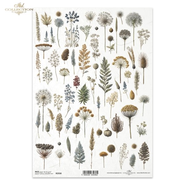 ususzone kwiatki, zioła, rośliny, suszki*dried flowers, herbs, plants, dries*Trockenblumen, Kräuter, Pflanzen, getrocknet*flores secas, hierbas, plantas, seca