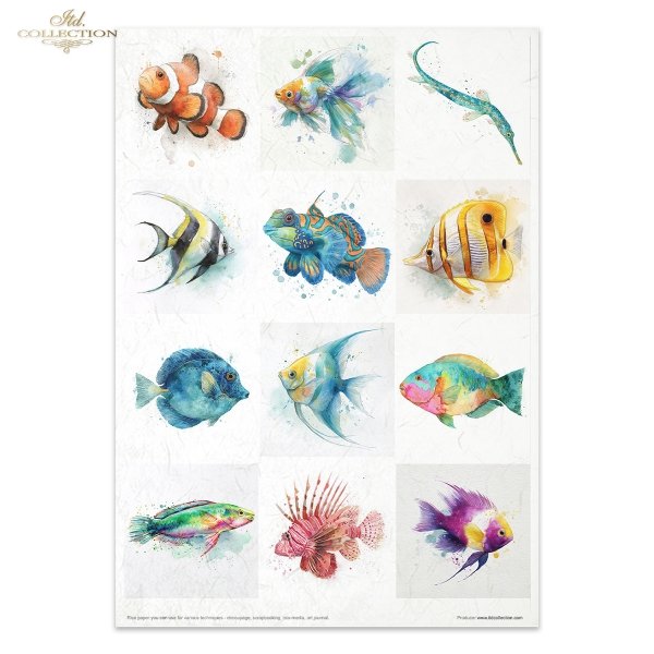 Conjunto Creativo RP106 Tropical Dreams vol. 2