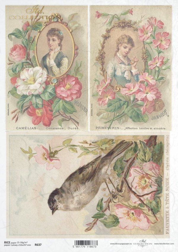 kobieta, portret, postać, ramka, retro, vintage, ptak, romantyzm, kwiaty, R637, woman, portrait, figure, frame, retro, vintage, bird, romantic, flowers, mujer, retrato, figura, marco, retro, vintage, pájaro, romántico, flores, Frau, Porträt, Figur, Rahmen