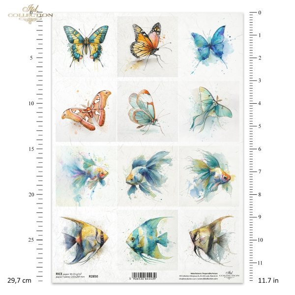 motyl, akwarela, złota rybka, skalar, ryby*butterfly, watercolor, goldfish, angelfish, fish*butterfly, watercolor, goldfish, angelfish, fis
