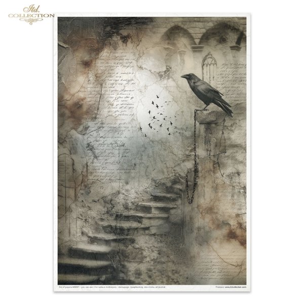 MS051 * Light &amp; Shadow part 1 - Światło i Cień