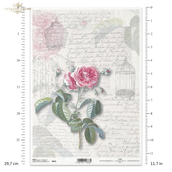 retro, vintage, list, ręczne pismo, róża, kwiat, płatki kwiatów, liście, klatka dla ptaków, R643, letter, handwriting, rose, flower, flower petals, leaves, birdcage, Brief, Handschrift, Rose, Blume, Blütenblätter, Blätter, Vogelkäfig, carta, escritura, ro