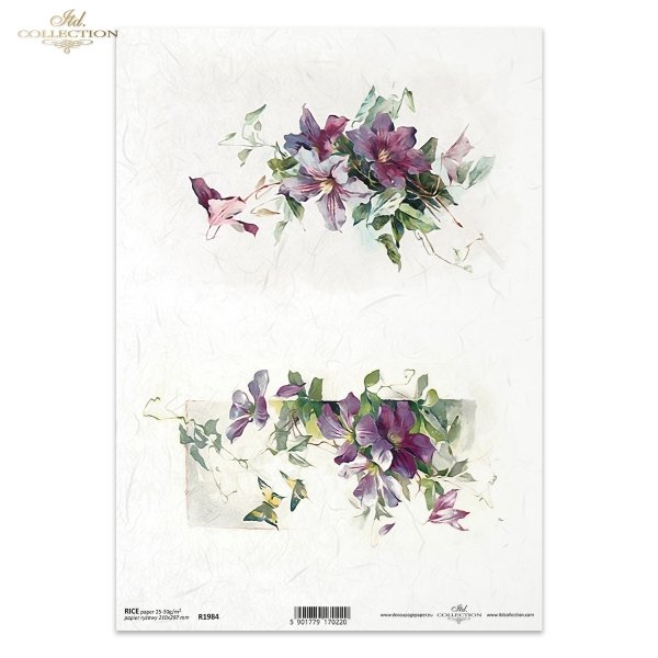 wiosenne kwiaty, clematis, powojnik, powojniki, łąka, ogród, wiosna, spring flowers, clematis, meadow, garden, spring, Frühlingsblumen, Clematis, Wiese, Garten, Frühling, flores de primavera, clemátide, prado, jardín, primavera