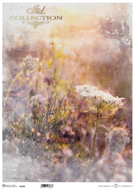 kwiaty polne, trawy, akwarela*field flowers, grasses, watercolour*Feldblumen, Gräser, Aquarell*flores de campo, hierbas, acuarela