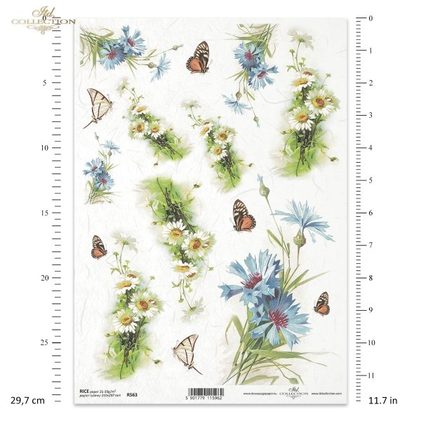 chaber, chabry, nagietek, nagietki, motyl, motyle, motylek, motylki, kwiat, kwiaty, kwiatek, kwiatki, łąka, ogród, lato, R563, cornflower, marigold, butterfly, butterflies, flower, meadow, garden, summer, Kornblumen, Ringelblume, Schmetterling, Blume, Wie