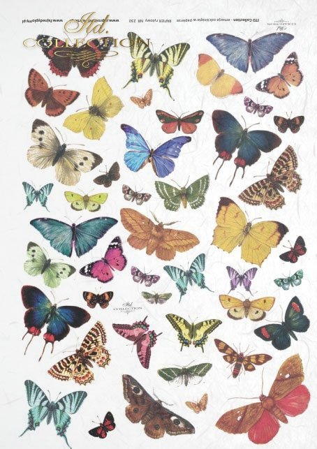 rice-paper-decoupage-insects-butterfly-butterflies-colors-R0230