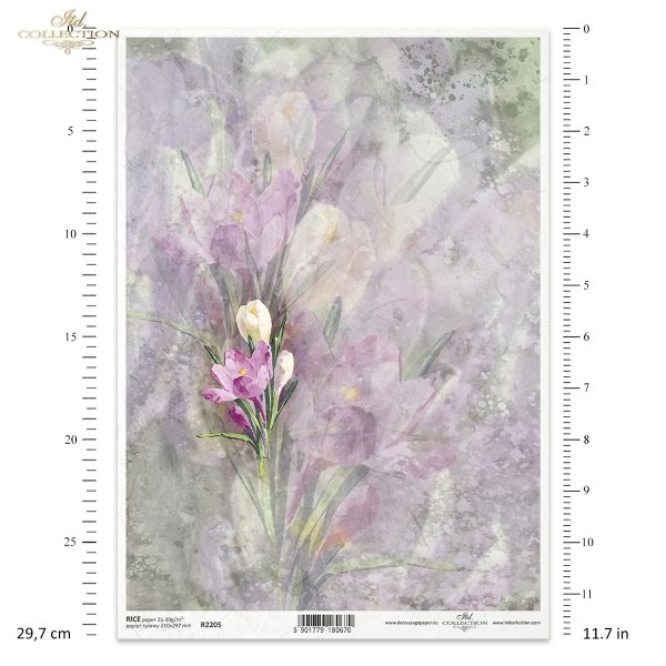 akwarela, tło akwarelowe, tła, wiosenne kwiaty, wiosna, ogród, Spring Love Story, watercolour, watercolour background, backgrounds, spring flowers, spring, garden, Aquarell, Aquarell Hintergrund, Hintergründe, Frühlingsblumen, Frühling