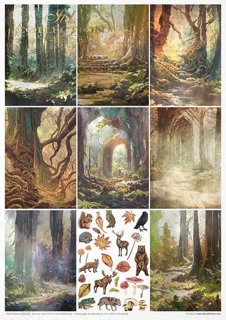 Conjunto Creativo MS039 - Mysterious Forest