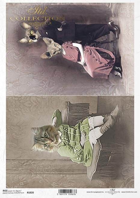 zwierzęta retro, zwierzęta w strojach, zoomorfizm, vintage, wiktoriańskie, kotek, koty, sfinksy*retro animals, animals in costumes, zoomorphism, vintage, Victorian, kitten, cats, sphinxes