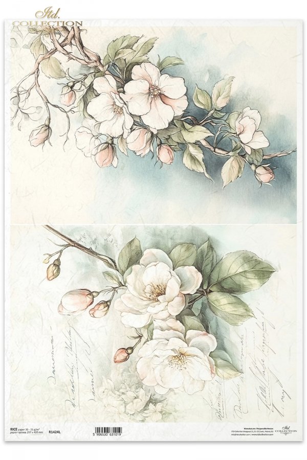 kwiaty flowers Blumen flores 