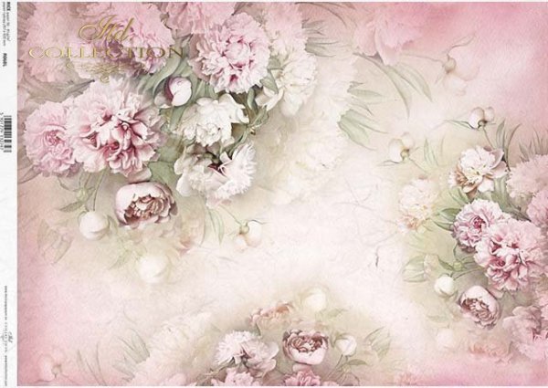 arroz flores de papel decoupage, peonías*Reispapier Decoupage Blumen, Pfingstrosen