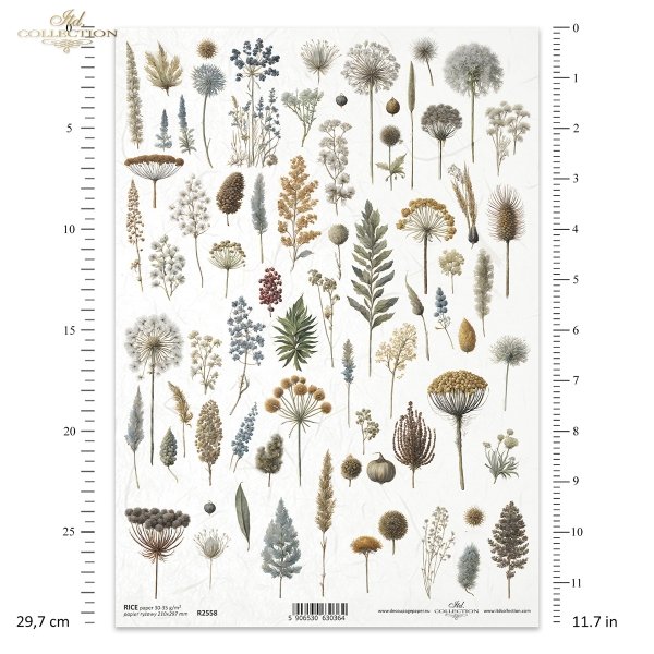 ususzone kwiatki, zioła, rośliny, suszki*dried flowers, herbs, plants, dries*Trockenblumen, Kräuter, Pflanzen, getrocknet*flores secas, hierbas, plantas, seca