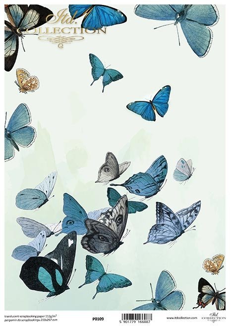 motyle*butterflies*Schmetterlinge*mariposas