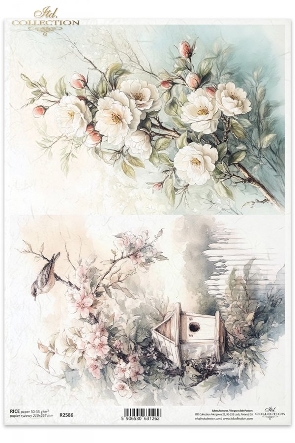 kwiaty flowers Blumen flores 