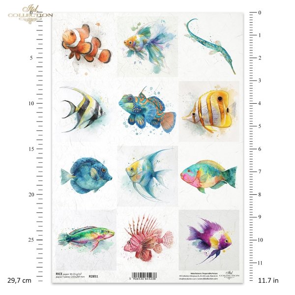 błazenek, skrzydlica, iglicznia, wargacz, mandaryn, papugoryba, akwarela, ryby*clownfish, lionfish, pipefish, wrasse, mandarinfish, parrotfish, watercolor, fish