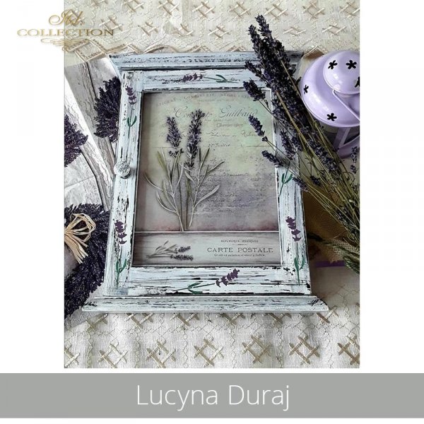 20190510-Lucyna Duraj1-R0982-example 04