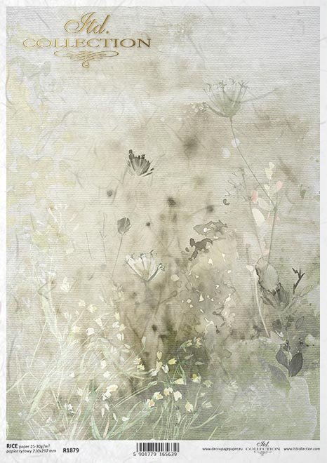 trawy, kwiaty polne, akwarela*grasses, field flowers, watercolour*Gräser, Feldblumen, Aquarell*hierbas, flores de campo, acuarela