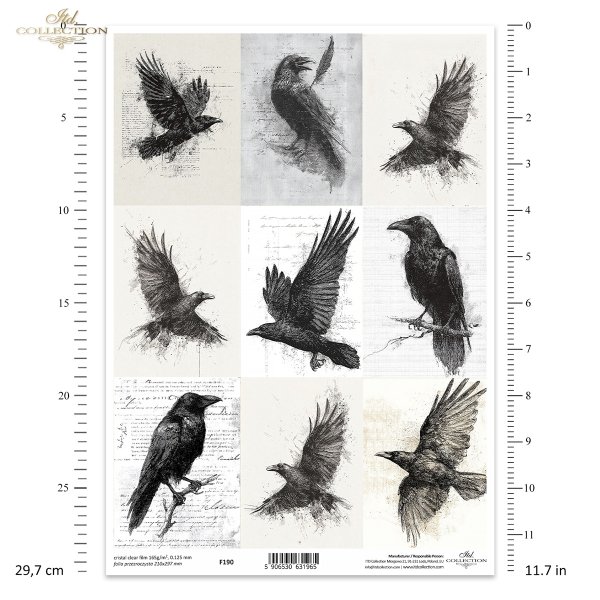 Grafiki, kruki, wrony, ptaki, szkice, czarno-białe*Graphics, ravens, crows, birds, sketches, black and white