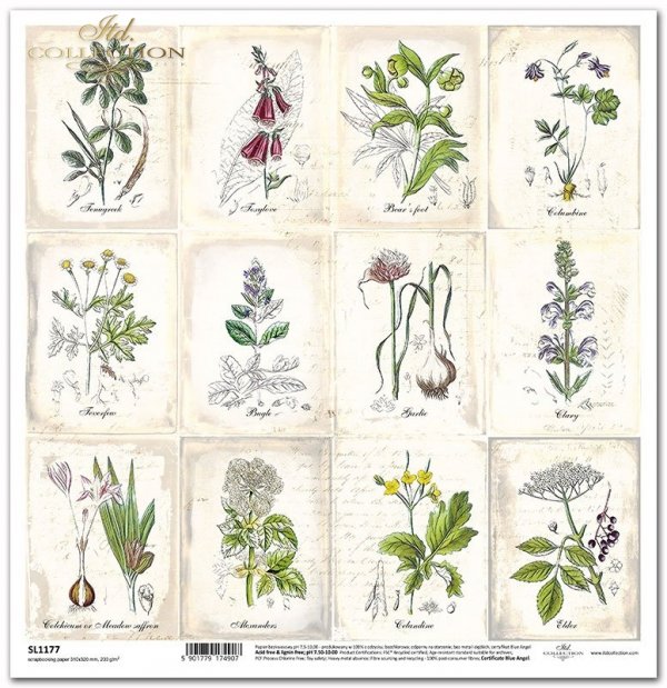 Seria - Herbarium 2, Zielnik, rośliny, zioła, tagi*Series - Herbarium 2, Herbarium, plants, herbs, tags*Serie - Herbarium 2, Herbarium, Pflanzen, tag*Serie - Herbario 2, Herbario, tag