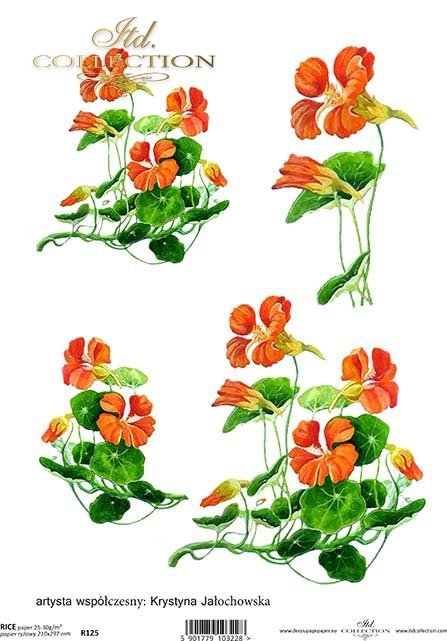 rice-paper-decoupage-nasturtium-flowers-meadow-garden-Krystyna-Jałochowska-R0125 