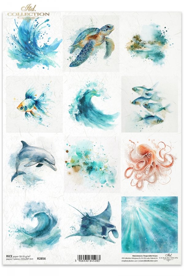  Żółw morski, złota rybka, ryby, delfin, ośmiornica, manta, płaszczka, ocean, fauna, akwarela*Sea turtle, goldfish, fish, dolphin, octopus, manta ray, stingray, ocean, fauna, watercolor