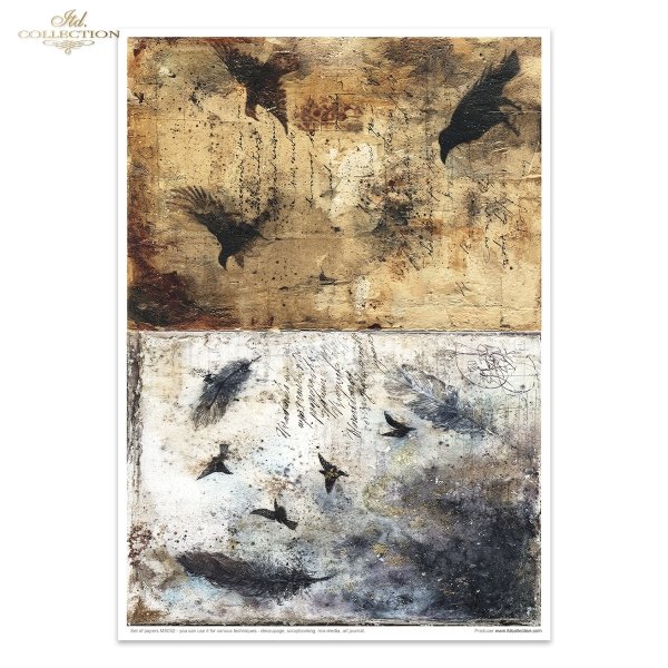 MS052 * Light &amp; Shadow part 2 - Światło i Cień