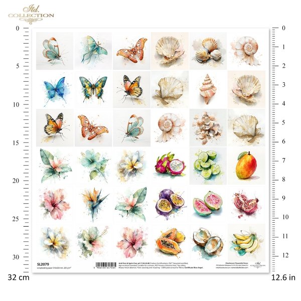 motyle, owady, skrzydła, muszle, ocean, plaża, morze, kwiat, hibiskus, egzotyczny, owoc, pitaja, marakuja, limonka, mango, granat, papaja, kokos, banan, akware* butterflies, insects, wings, seashells, ocean, beach, sea, flower, hibiscus, exotic, fruit, dr