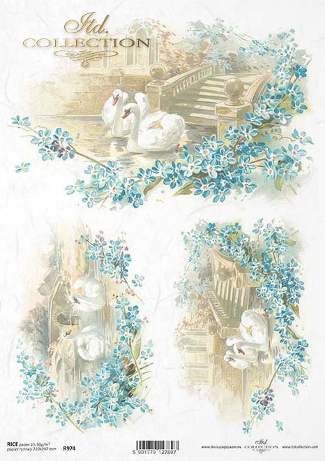 niezapominajka, niezapominajki, łabędź, łabądź, łabędzie, staw, mostek, romantycznie, romantyzm, romantyczny, R974, forget-me-not, swan, pond, bridge, romantic, Vergissmeinnicht, Schwan, Schwäne, Teich, Brücke, romantisch, nomeolvides, cisne, estanque, pu
