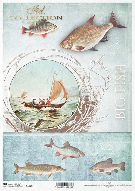 Arroz peces de papel*Rýžový papír ryby*Reispapier Fisch