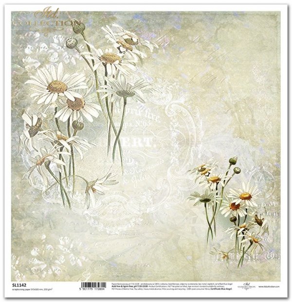 Seria Flower Post - White, Kwiatowa Poczta w bieli, rumianek*Flower Post in white, camomile, collage, inscriptions