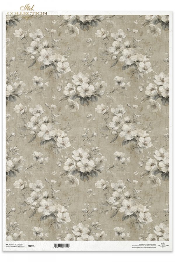 kwiaty, rośliny, vintage, beż, szałwia, botanika, tekstury, tło, wzory