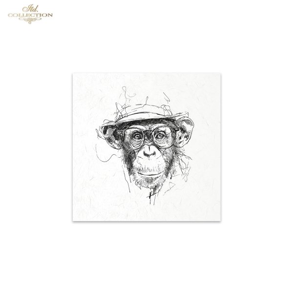 Zestaw papierów ryżowych (HS code 48021000) RSM254